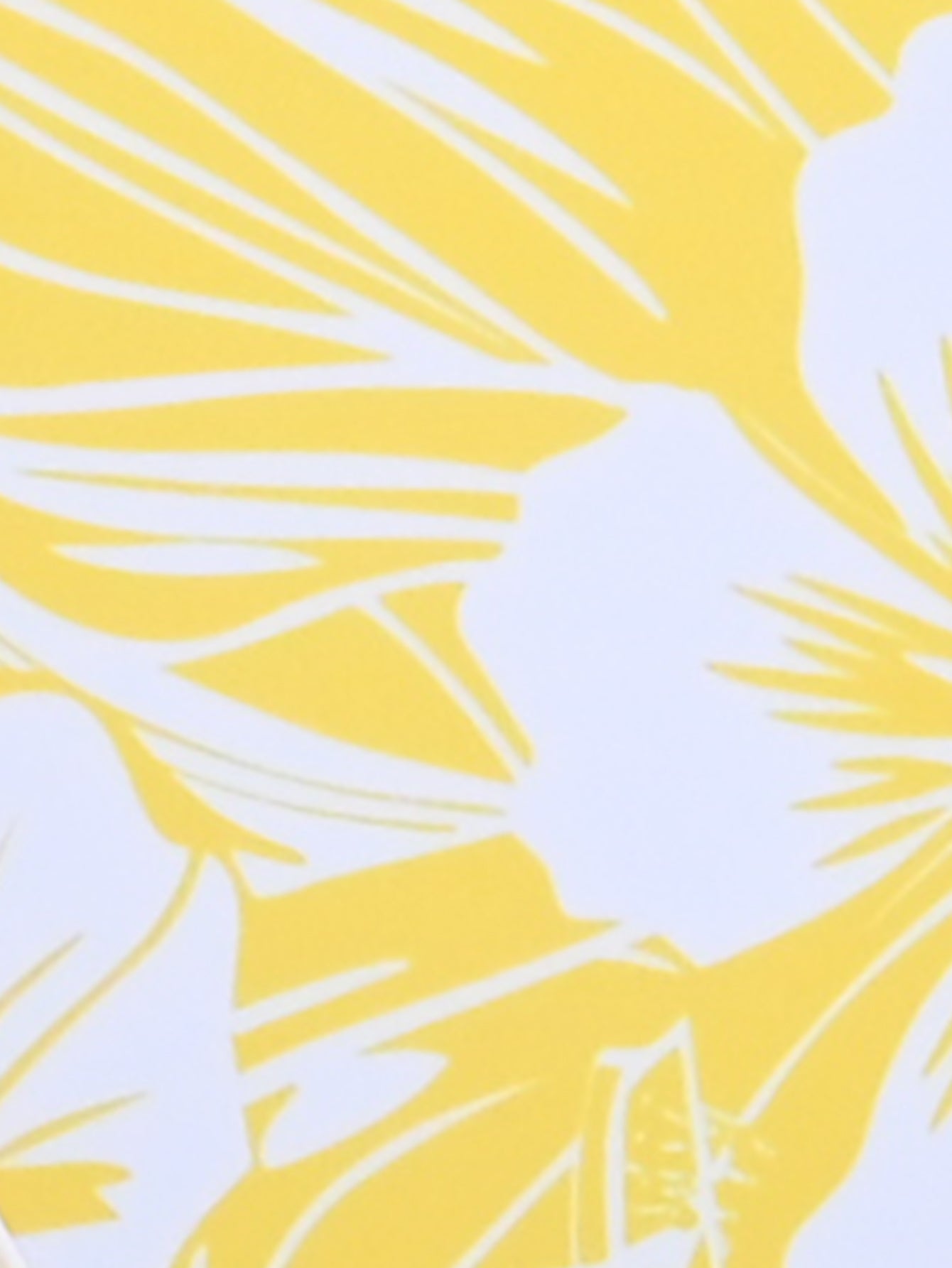 Yellow Tropical Print Bikini Set